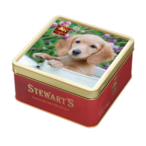 6x125g Stewart's Classic - Puppy Paws Shortbread Tin 